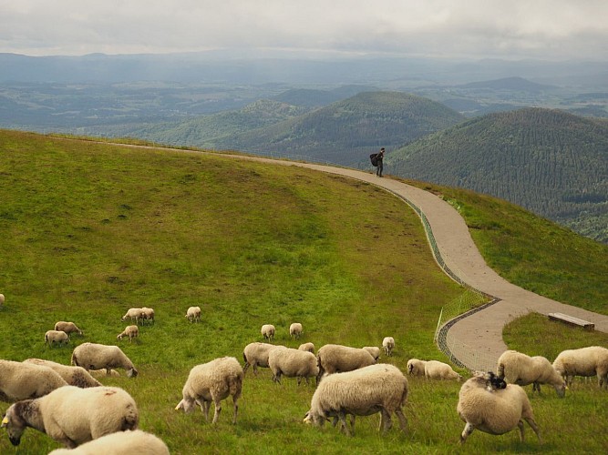 Puy de Dôme - Hiking from the Maison de Site_Orcines