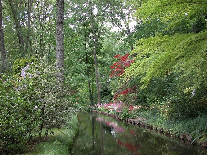 Arboretum des pres des Culands - Conservatoire National d'Ilex - Les Astilbes