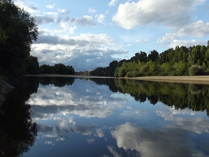 Nature - Loire - 9 août 2017 - OT Terres de Loire et Canaux - I.Rémy (2)