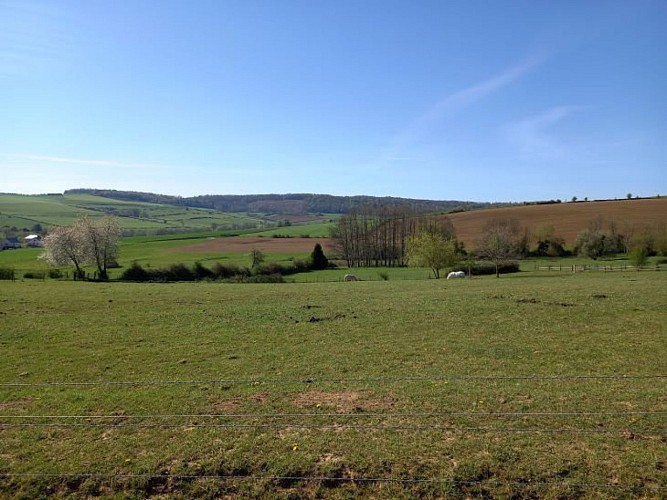 Panorama - la marfée