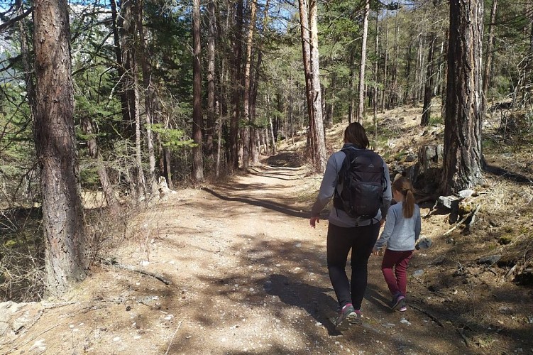 Tour of the Forts of Briançon from La Vachette