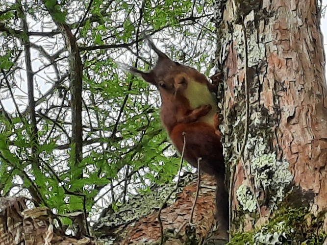 Sentier nature du Bois des Gâts