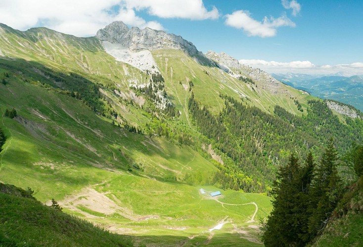 Chalet du Drison depuis le Parc au mouton