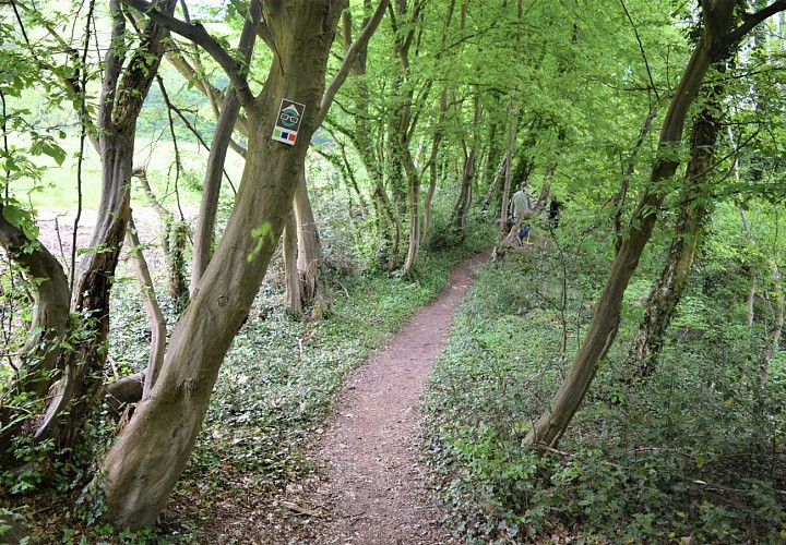 Trail Amay parcours vert