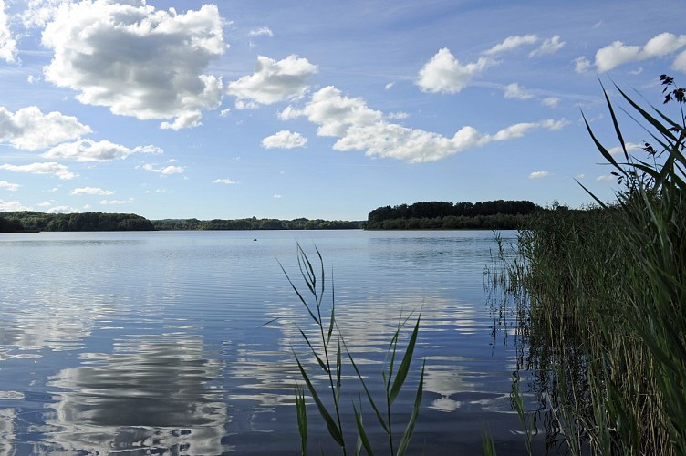 Étang de Chancelade