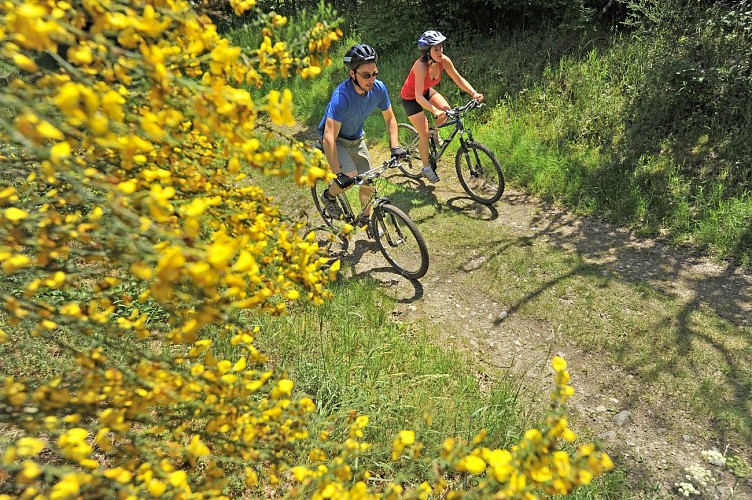 VTT dans les Combrailles