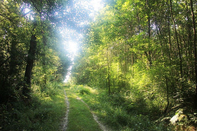 Du Tucos au galets via le bois du Courrau