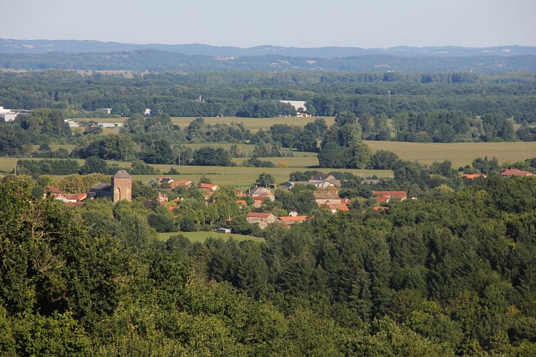 Sentier découverte de la forêt communale de Larreule