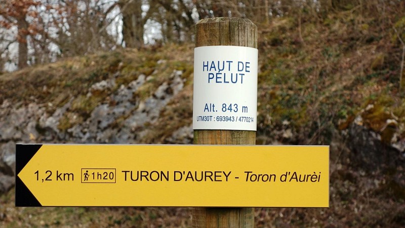N°4 Turon d'Aurey