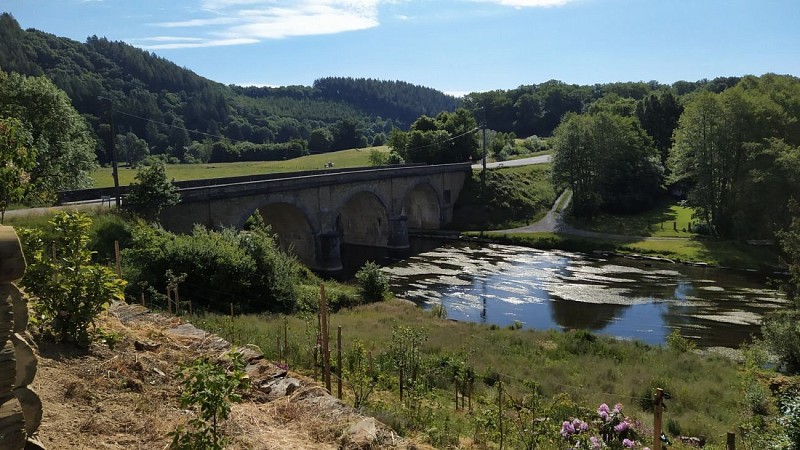 IMG_20220531_094447_1