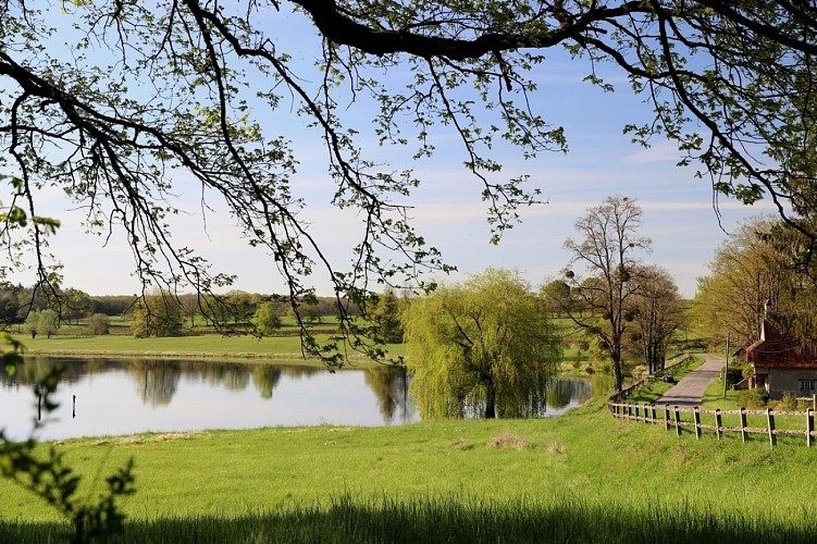 étang Chèvres M Masson