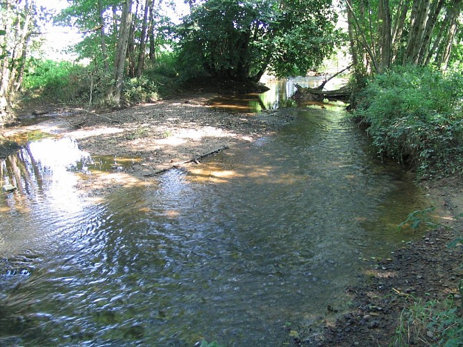 Rivière la Dragne Vandenesse