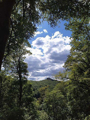 Bohan-2020-printemps-prom Réserve Naturelle-(AG) (1)