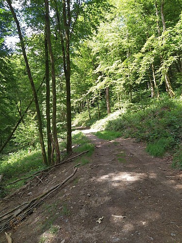 Bohan-2020-printemps-prom Réserve Naturelle-(AG) (2)