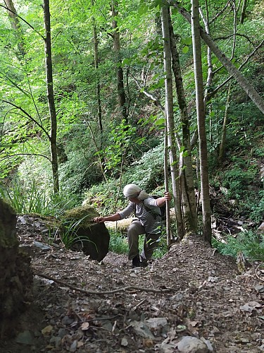 Bohan-2020-printemps-prom Réserve Naturelle-(AG) (11)