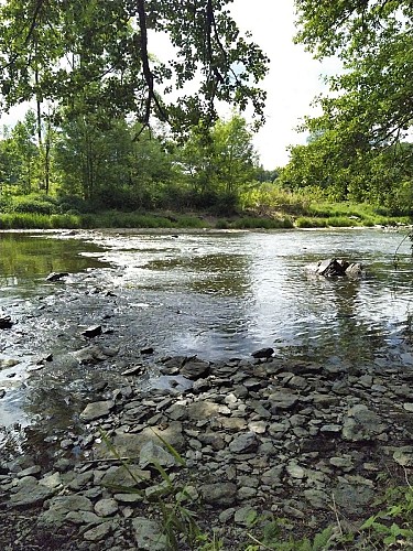 Bohan-2020-printemps-prom Réserve Naturelle-(AG) (6)