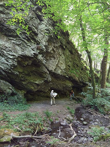 Bohan-2020-printemps-prom Réserve Naturelle-(AG) (20)