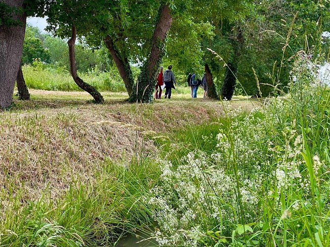 LAMASQUERE : BALADE DE L'HOUSSAT