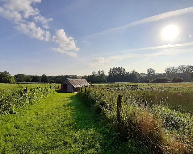 Au fil de l'eau et des moulins