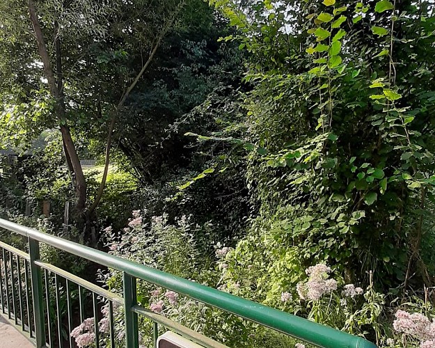 Au fil de l'eau et des moulins