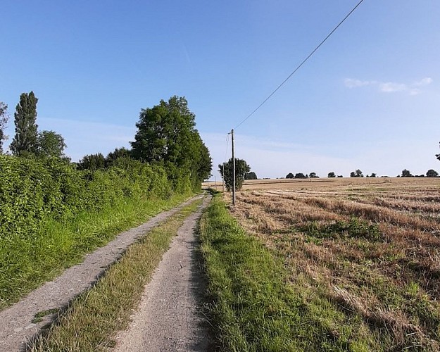 Au fil de l'eau et des moulins