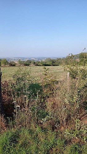 Autour des bois de Thiron