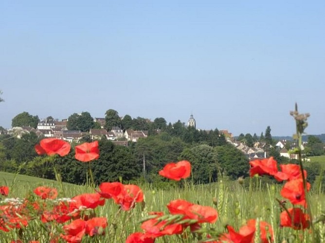 © OT des collines du Perche Normand