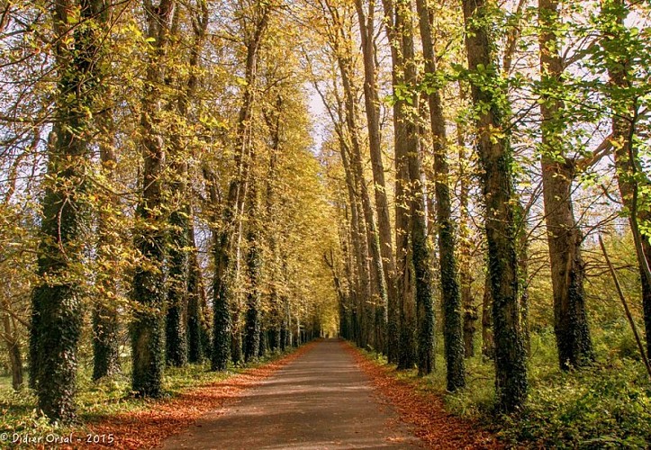 Maison-Maugis-Rue du château