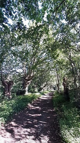 En empruntant le canal d'Arcisses