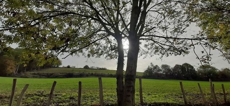 Vue côté champs-Canal d'Arcisses