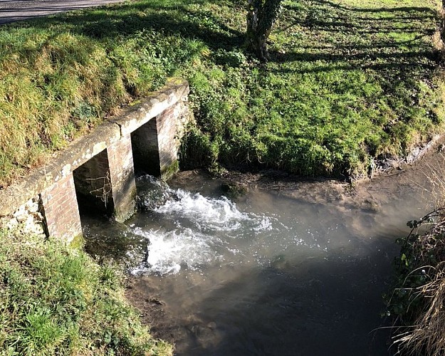 En passant par les bois de Perchet