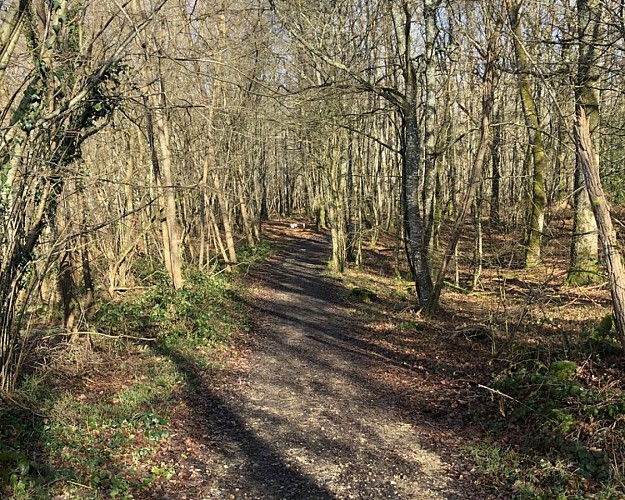 En passant par les bois de Perchet