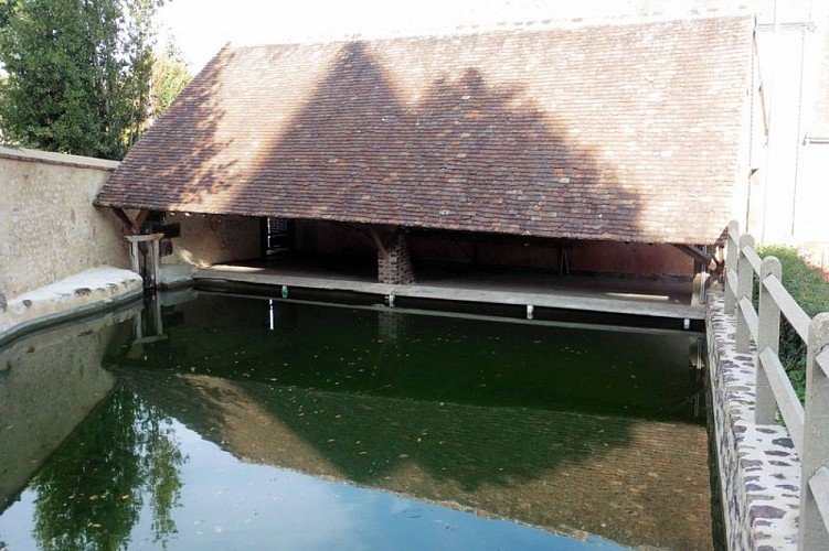 Lavoir de St Denis d'Authou©Patrick Mouron