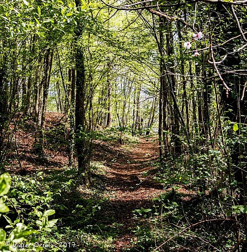 La butte du château