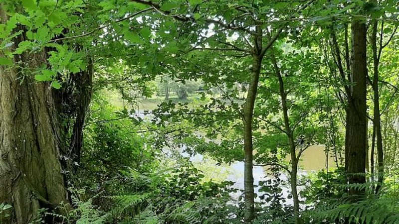 La butte du château