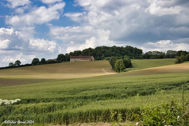 La colline de Rougemont
