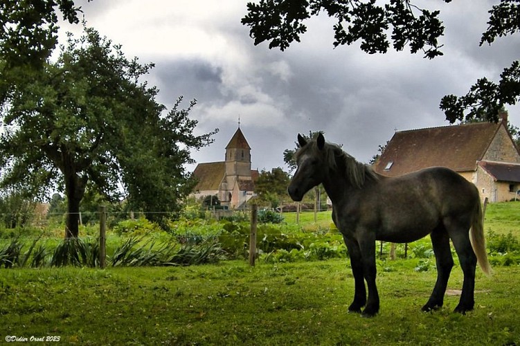 Vue sur l'église de Vivhères