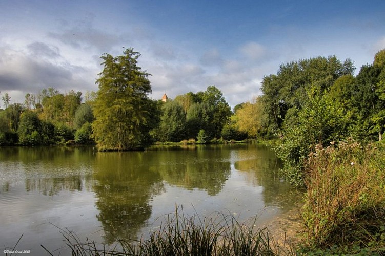 L'étang du lavoir de Vichères