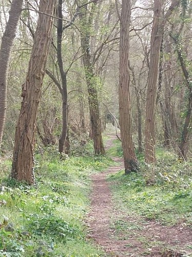 La Grande Brumardière