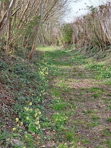 La Grande Brumardière