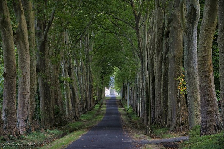 Allée de la Pellonière