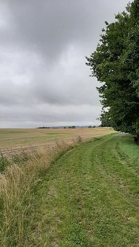 La Grande Brumardière