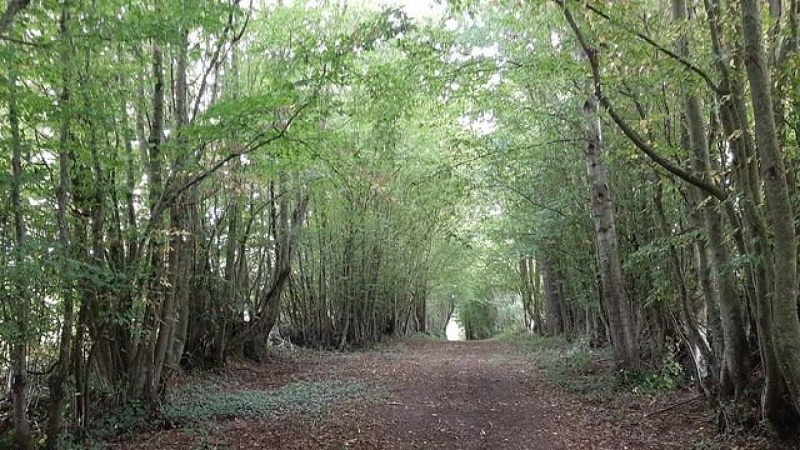 La Grande Brumardière