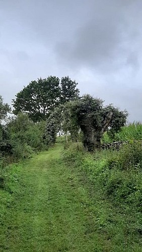 La Grande Brumardière