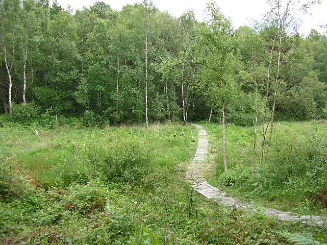 La Tourbière des Froux et son sentier de découverte