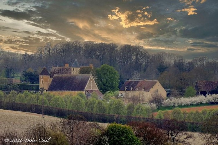 La tour du Royau