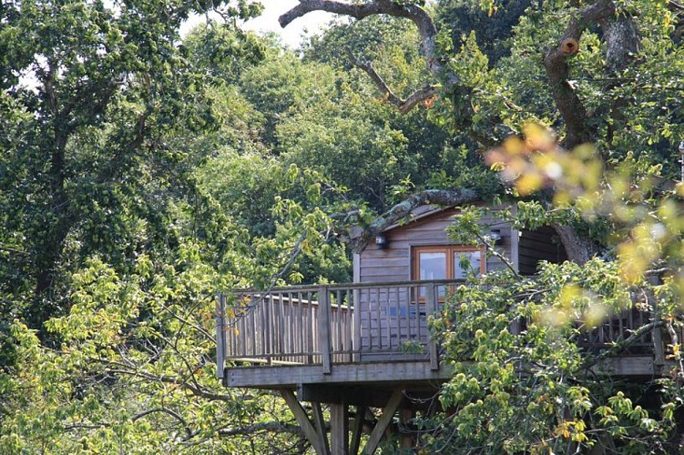 Cabane dans les arbres-Perché dans le Perche-Bellou-le-Trichard