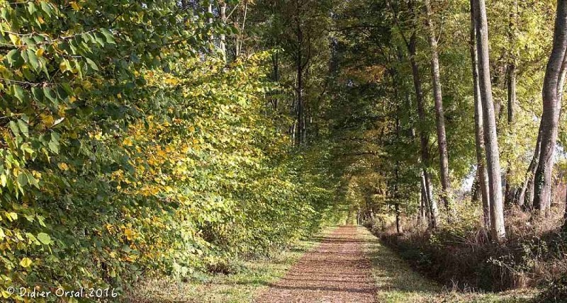La voie verte "Condé/Alençon"