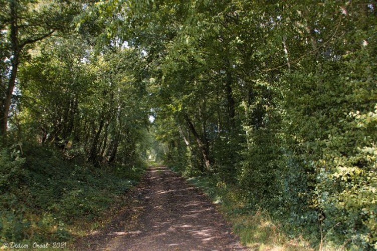L'ancienne ligne de Chemin de Fer Thiron-Gardaisd -> La Loupe -> Senonches