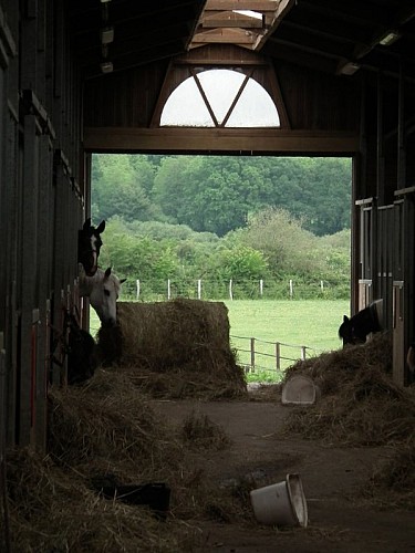 Ecurie de la SPA de Pervenchères